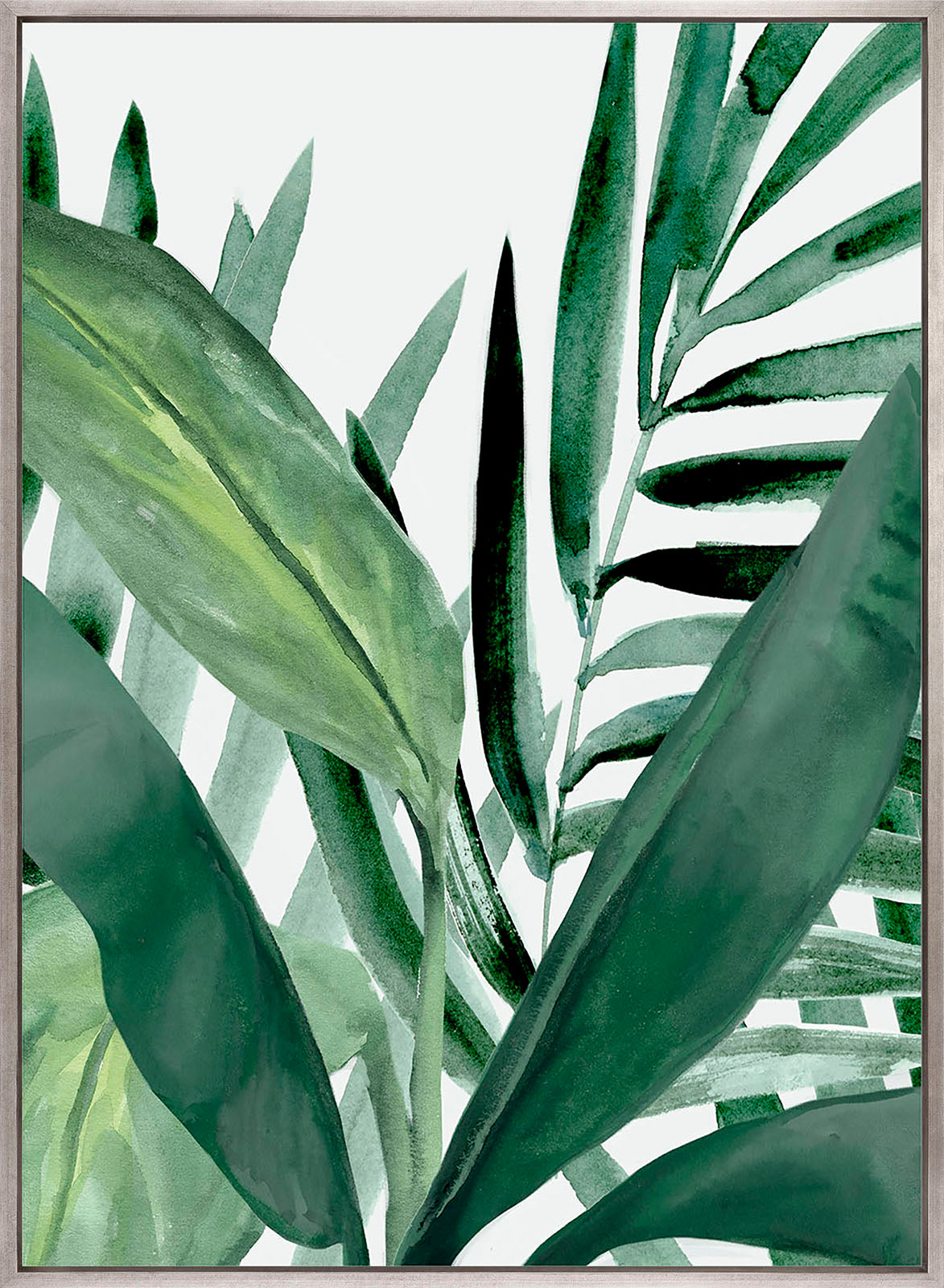 ShallaTropic III (Canvas)