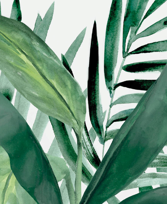 ShallaTropic III (Canvas)