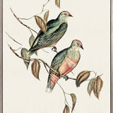 Shildon Birds I (Canvas)