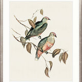 Shildon Birds I