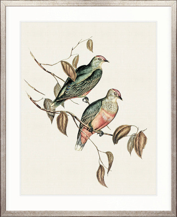 Shildon Birds I