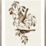 Shildon Birds II