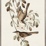 Shildon Birds II (Canvas)