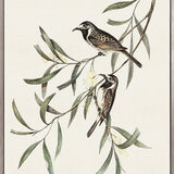 Shildon Birds III (Canvas)