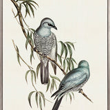 Shildon Birds V (Canvas)