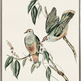 Shildon Birds VI (Canvas)
