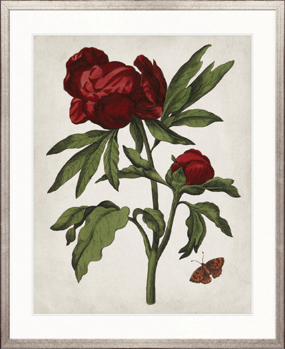 Vintage Floral VI