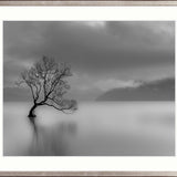 Nature Whisper I