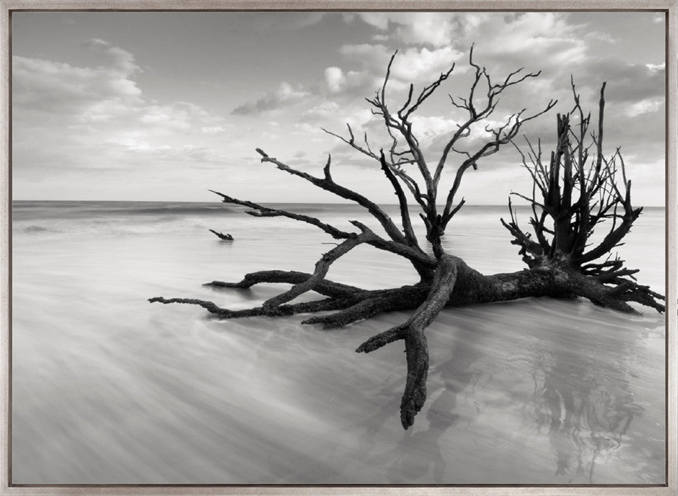 Nature Whisper III (Canvas)