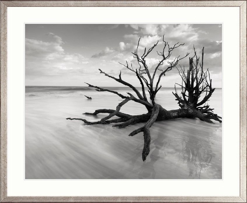 Nature Whisper III