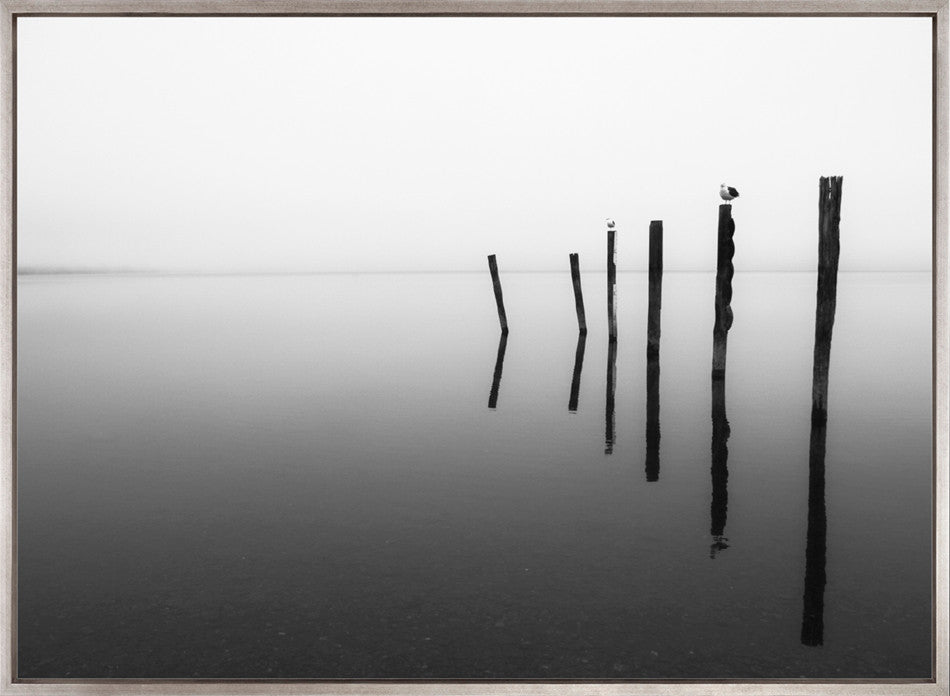 Nature Whisper IV (Canvas)