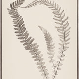 Nature Print XIV (Canvas)