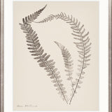 Nature Print XIV