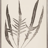 Nature Print XV (Canvas)