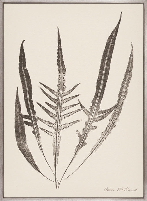 Nature Print XV (Canvas)