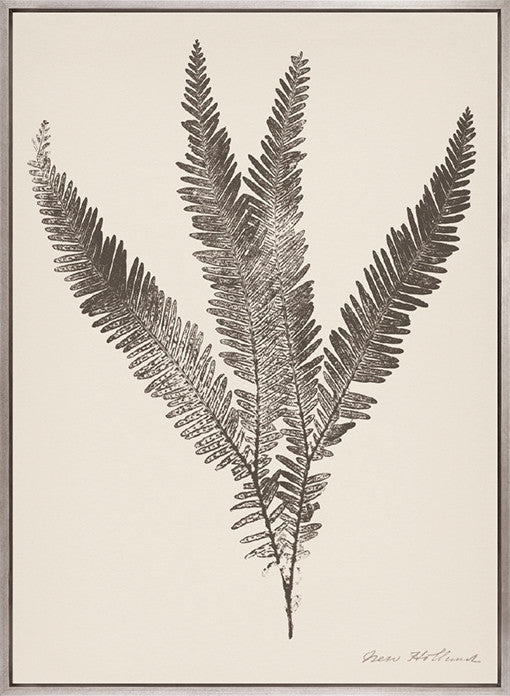 Nature Print XVI (Canvas)