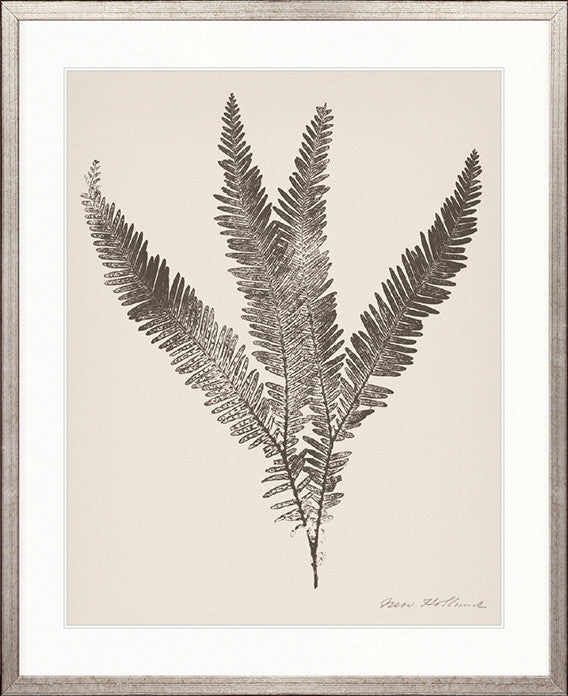 Nature Print XVI