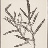 Nature Print XVII (Canvas)