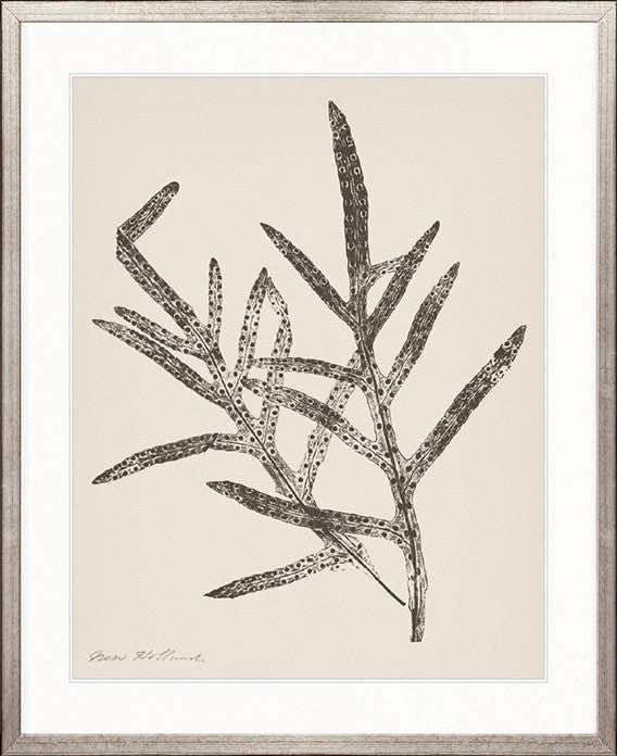 Nature Print XVII