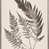 Nature Print XVIII (Canvas)