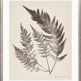 Nature Print XVIII