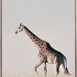 Wild Safari II (Canvas)