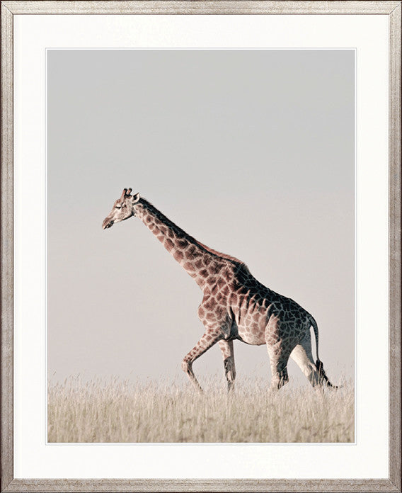 Wild Safari II