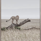 Wild Safari IV (Canvas)