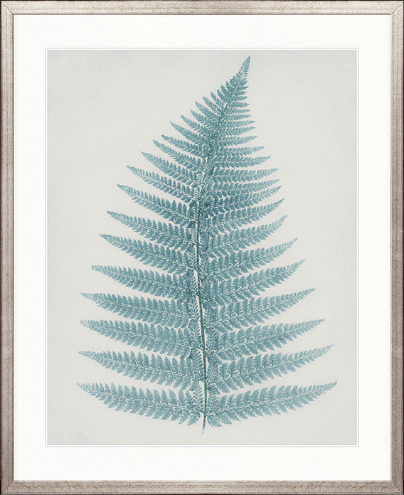Forest Fern III