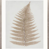 Forest Fern V