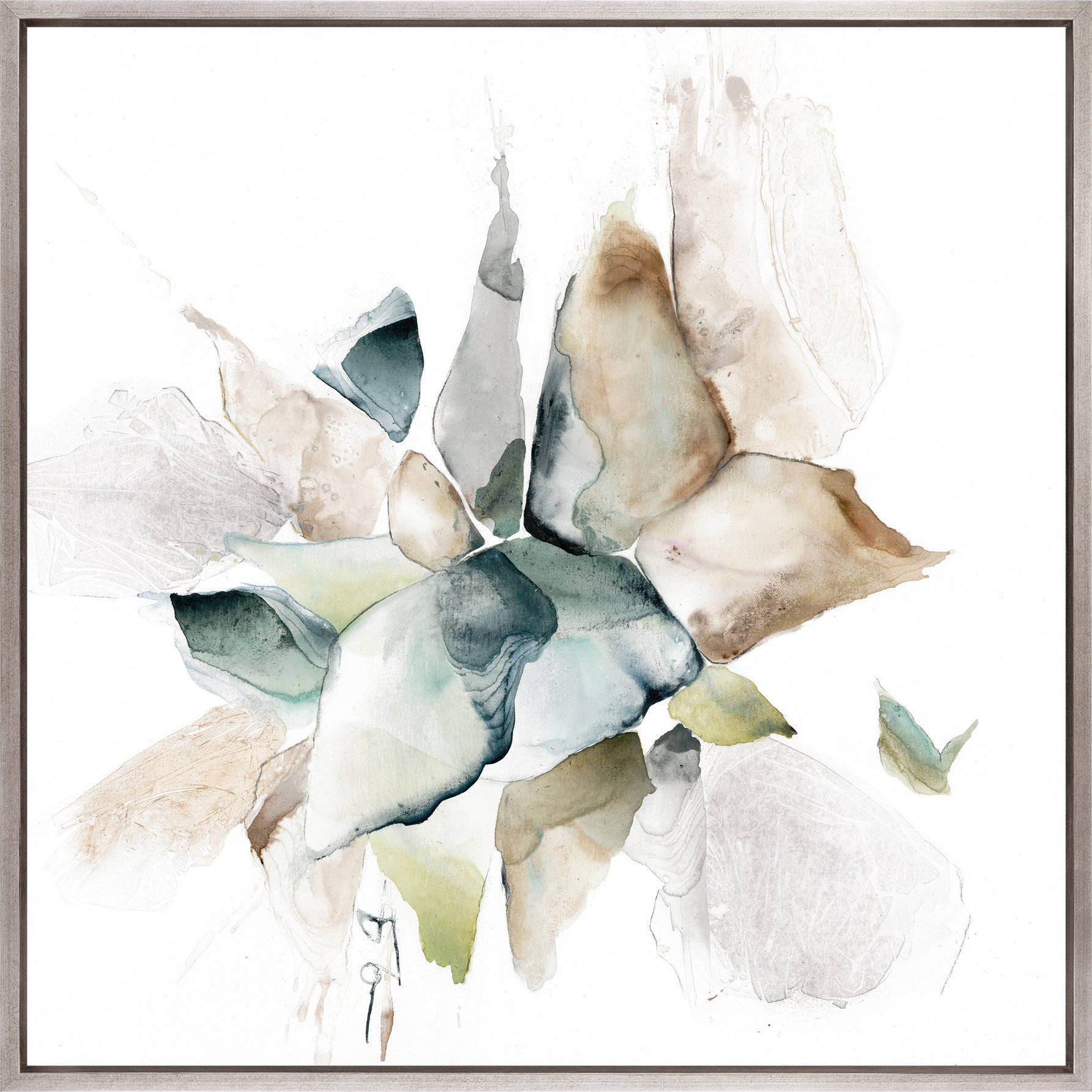 Sorell Blooms V (Canvas)