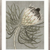 Botanist Specimen VI