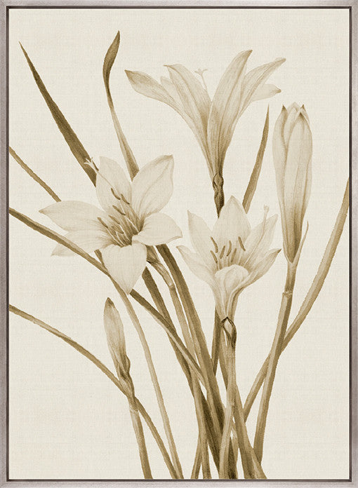 Floral Medley I (Canvas)