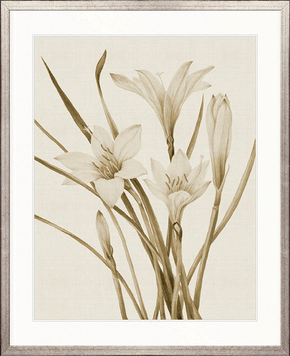 Floral Medley I