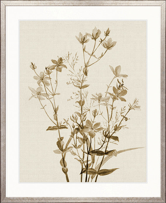 Floral Medley II