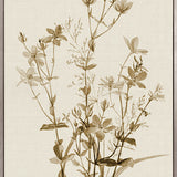 Floral Medley II (Canvas)
