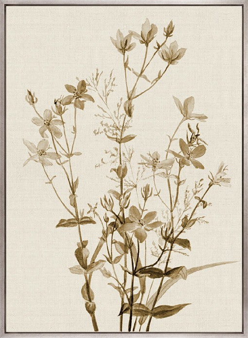 Floral Medley II (Canvas)