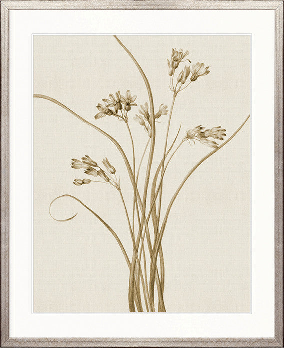 Floral Medley III