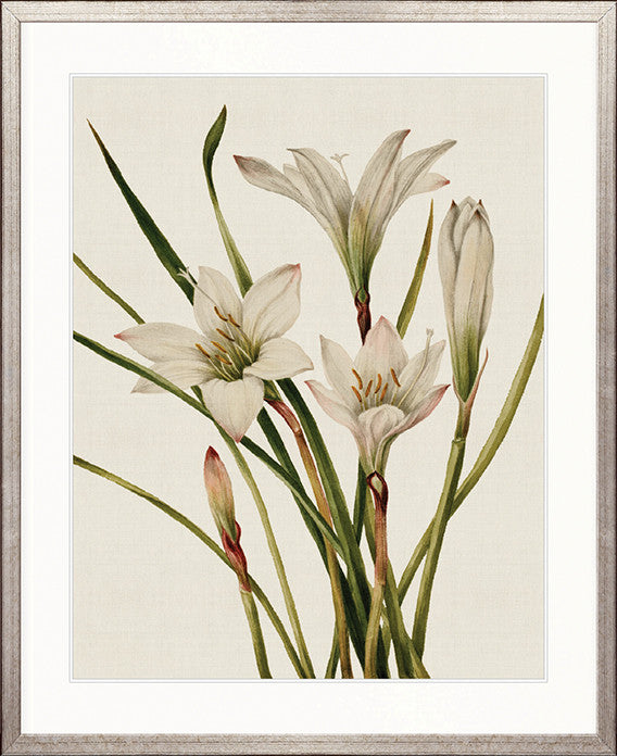 Floral Medley V