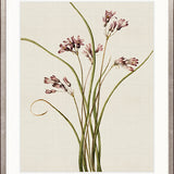 Floral Medley VII