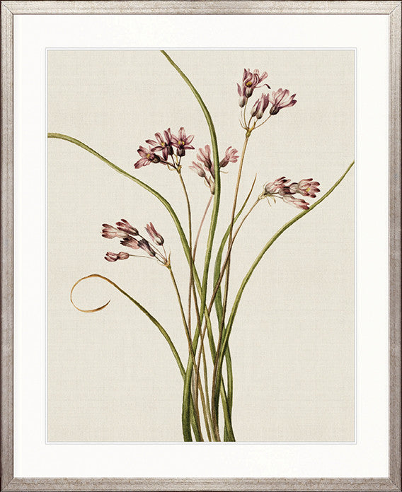 Floral Medley VII