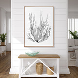Delicate Charcoal Seaweed I (Canvas) Large (903mm W x 1109mm H)