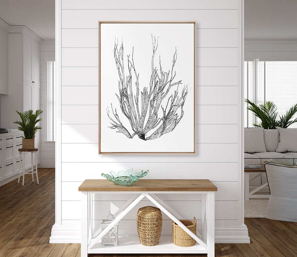 Delicate Charcoal Seaweed I (Canvas)