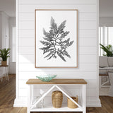 Delicate Charcoal Seaweed II (Canvas) Large (903mm W x 1109mm H)