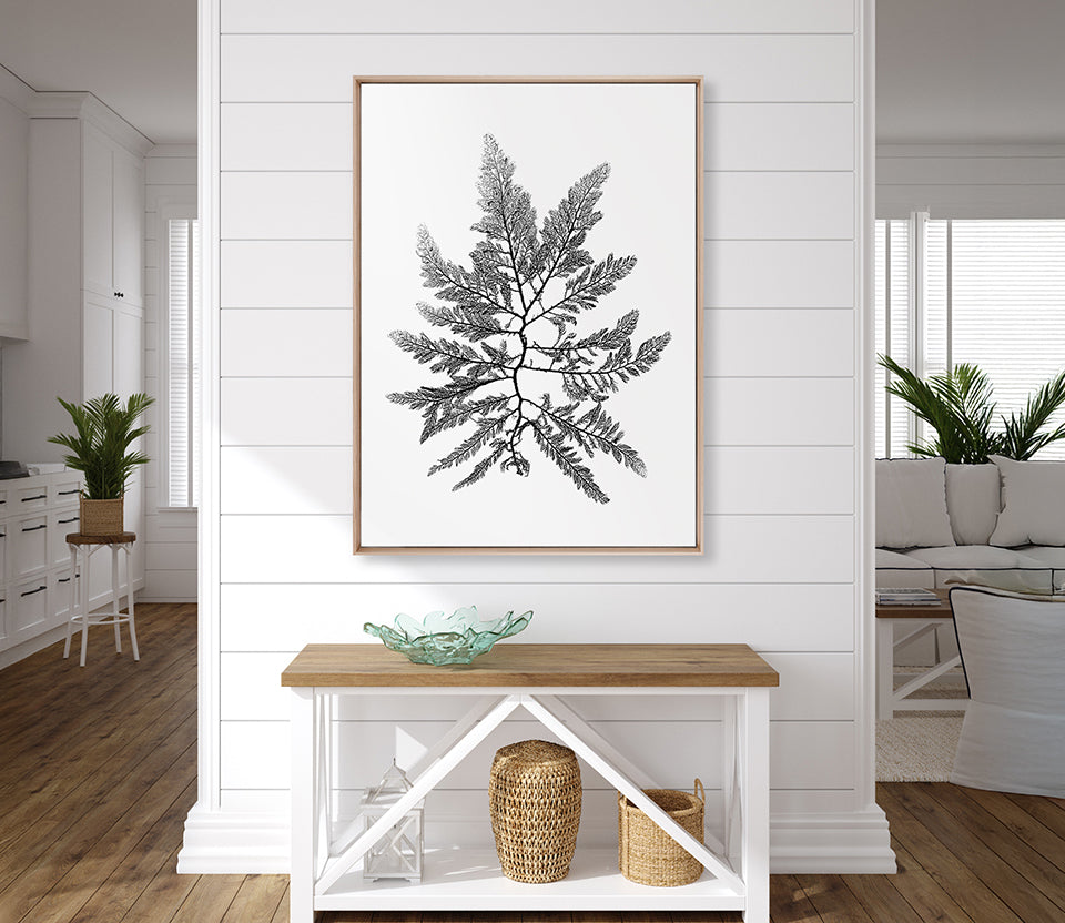 Delicate Charcoal Seaweed II (Canvas)