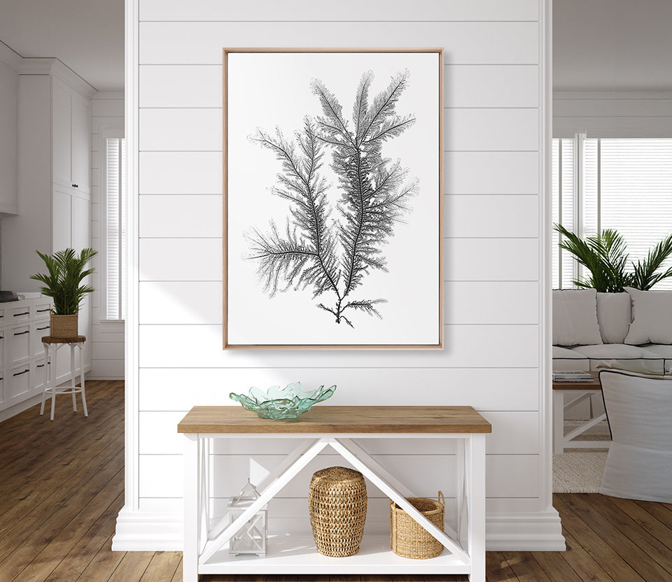 Delicate Charcoal Seaweed III (Canvas)