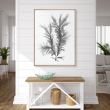 Delicate Charcoal Seaweed III (Canvas) Large (903mm W x 1109mm H)