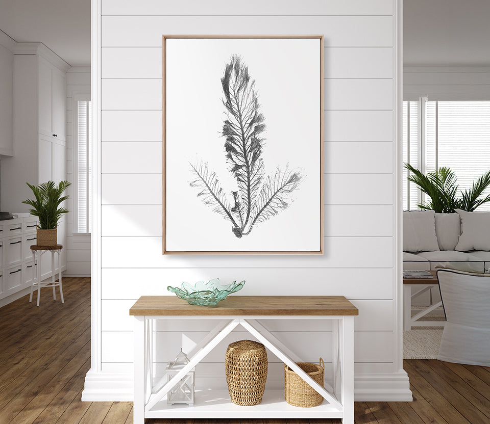 Delicate Charcoal Seaweed IV (Canvas)