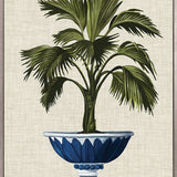 Ornate Palm I (Canvas) Large (903mm W x 1109mm H)