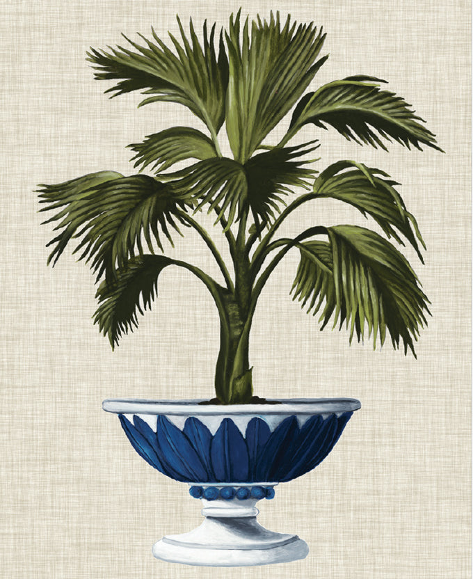 Ornate Palm I (Canvas)